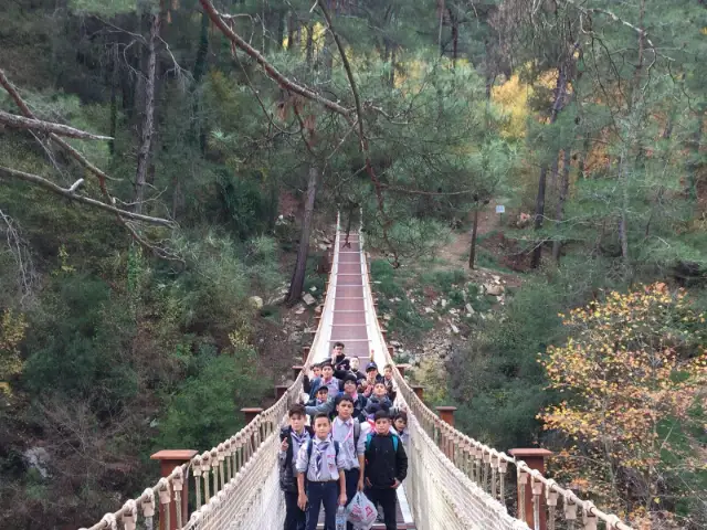 Medya